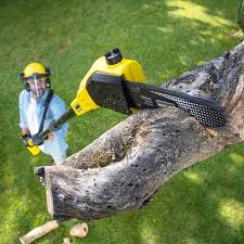 Best Lawn Mowing  in Bridgehampton, NY