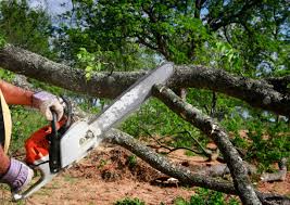 Best Utility Line Clearance  in Bridgehampton, NY