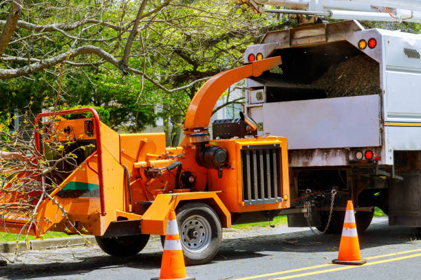 Seasonal Cleanup (Spring/Fall) in Bridgehampton, NY