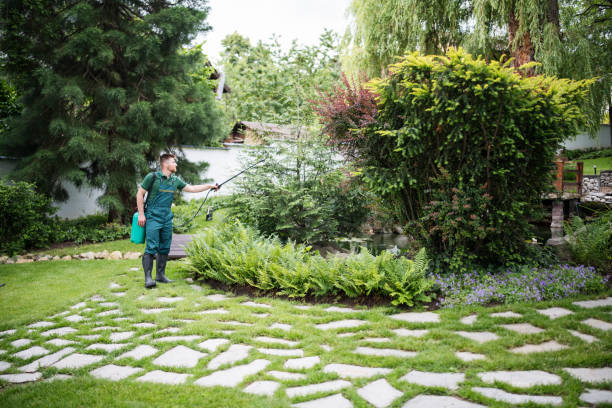 Best Lawn Renovation and Restoration  in Bridgehampton, NY
